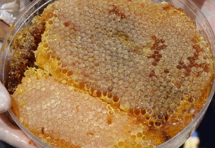 Petek Bal İran Balı 1 Kg - İran Petek Balı